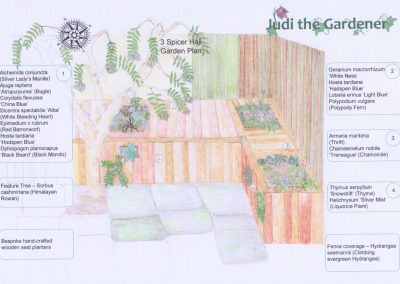 Garden design illustration
