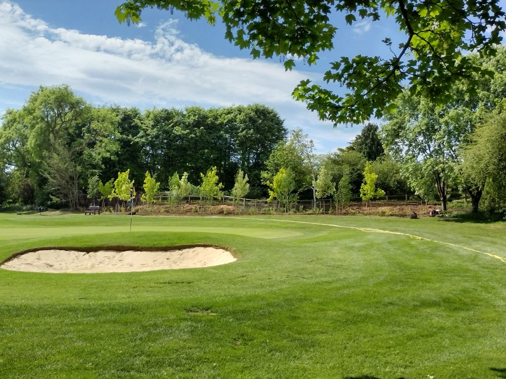 Hole no.1 after new trees
