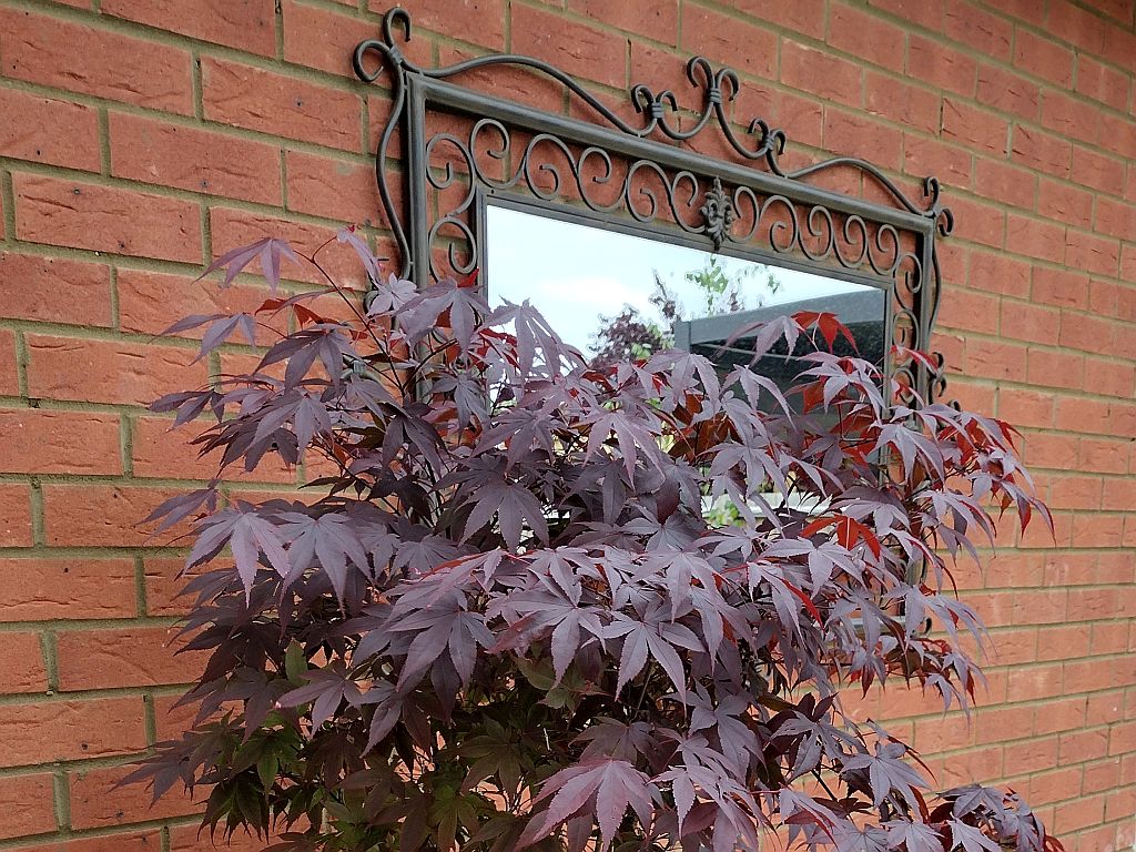 Steel pergola on porcelain paving.