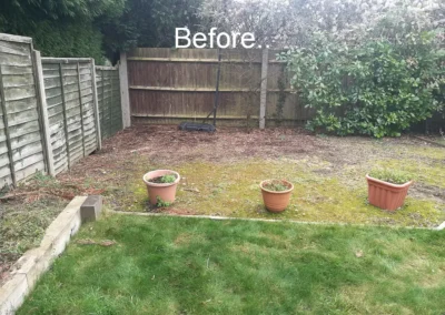 Overgrown garden.