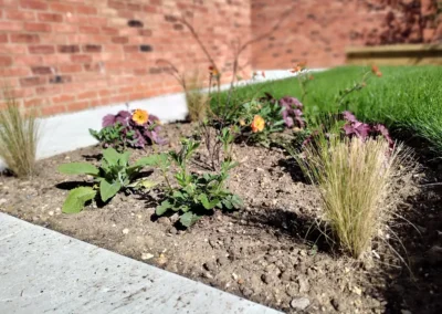 Small planted border.