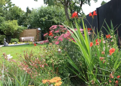 Sunny border planting.